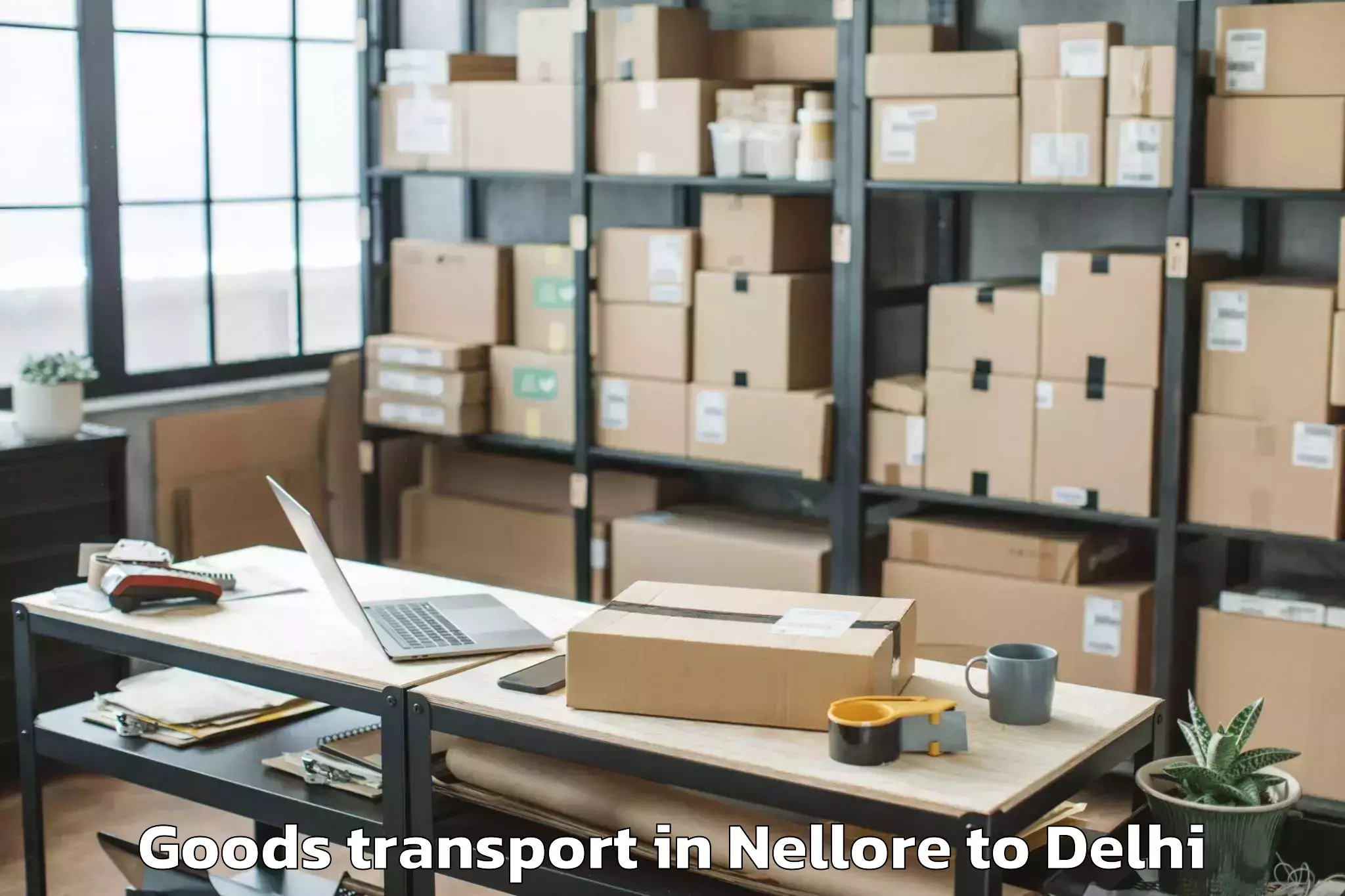 Professional Nellore to Naraina Industrial Estate Goods Transport